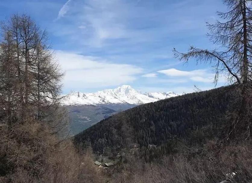 Outdoors view Photo