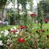 Outdoors view