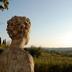Outdoors view