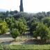 Outdoors view