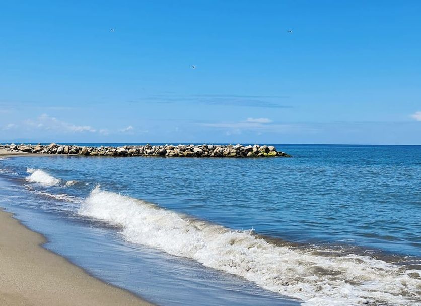 Beach Photo
