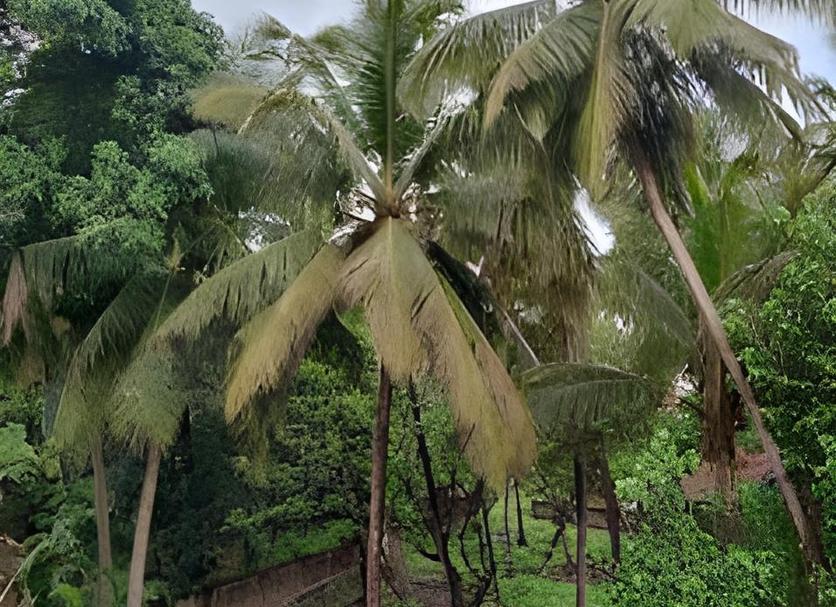 Outdoors view Photo
