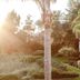 Outdoors view