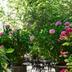 Outdoors view