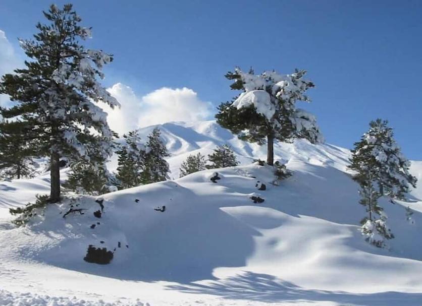 Outdoors view Photo