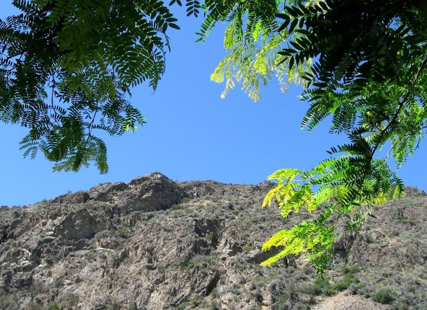Outdoors view Photo