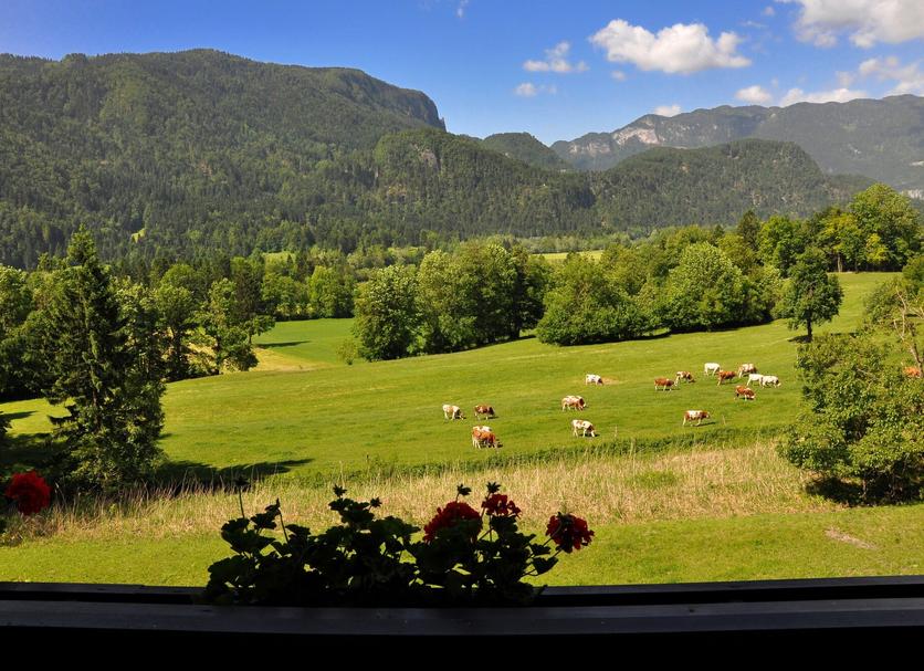 Outdoors view Photo