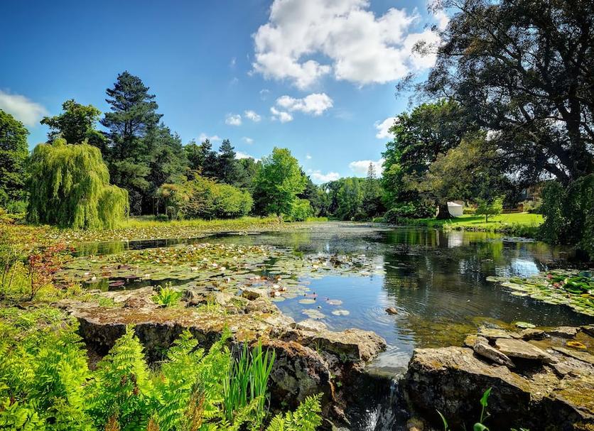 Outdoors view Photo