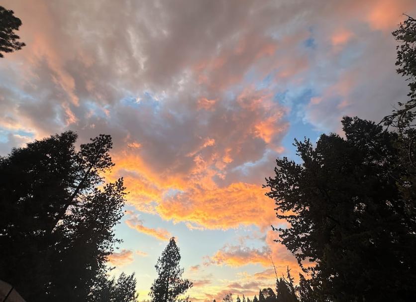 Outdoors view Photo
