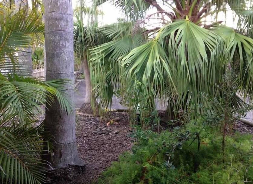 Outdoors view Photo