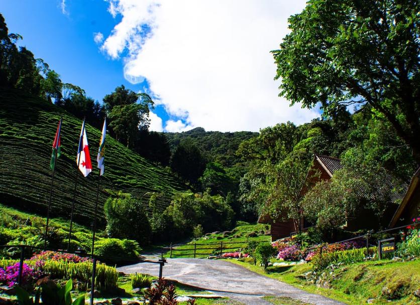 Outdoors view Photo