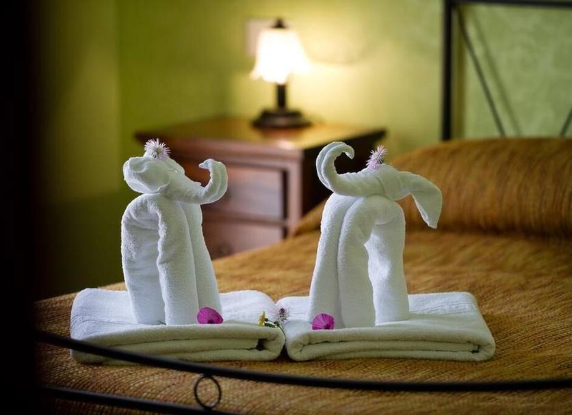 Room amenity Photo