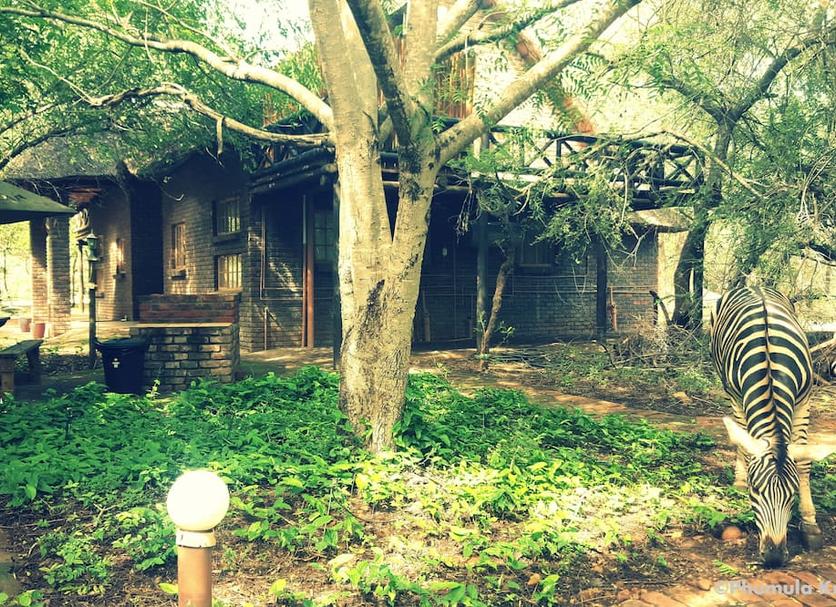 Outdoors view Photo