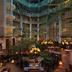 Hotel amenity
