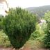 Outdoors view