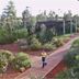 Outdoors view