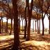 Outdoors view