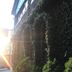 Outdoors view