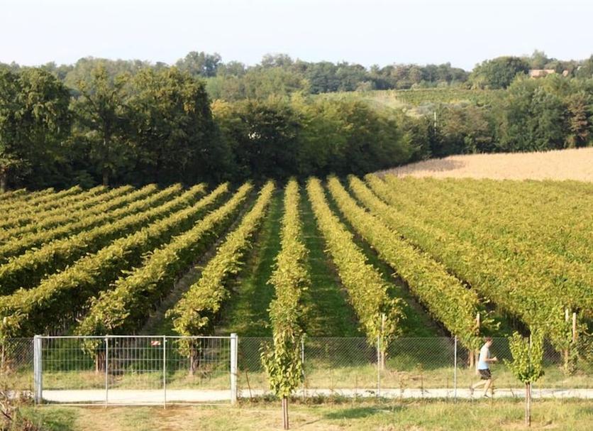 Outdoors view Photo