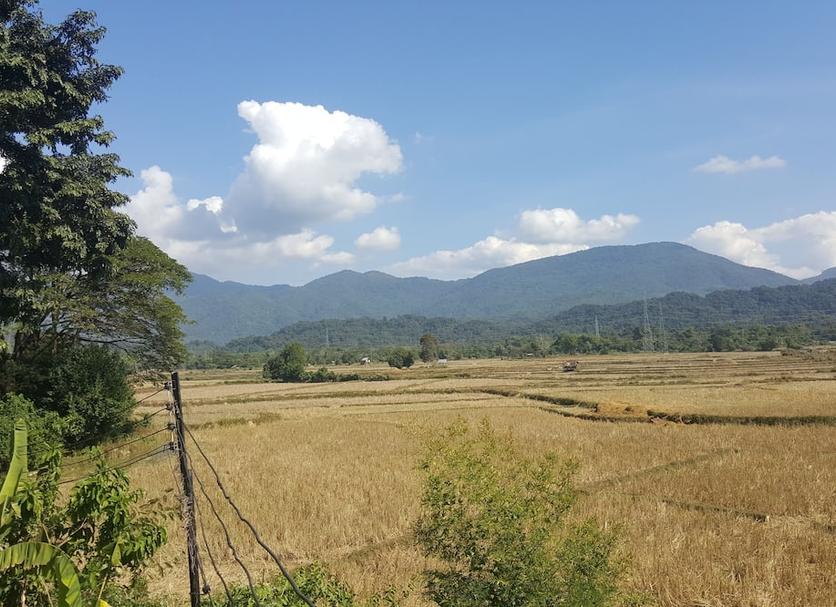 Outdoors view Photo