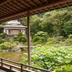 Outdoors view