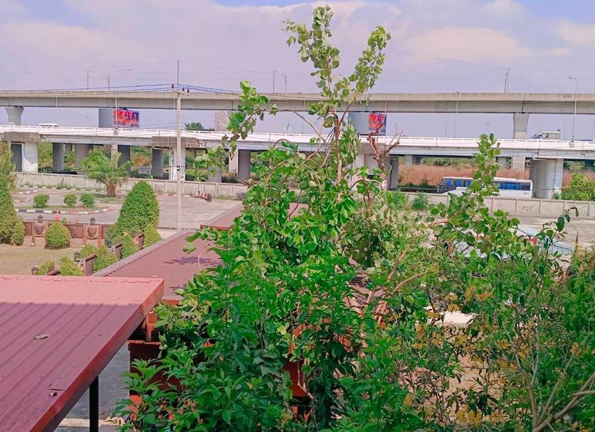 Outdoors view Photo