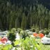 Outdoors view