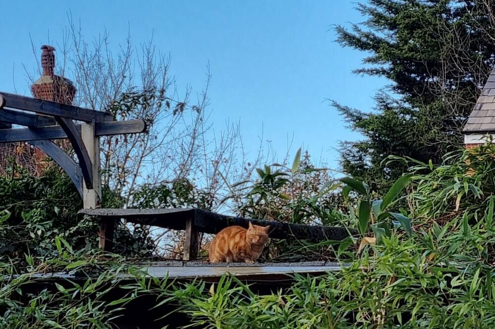 Outdoors view