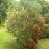 Outdoors view