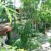 Outdoors view
