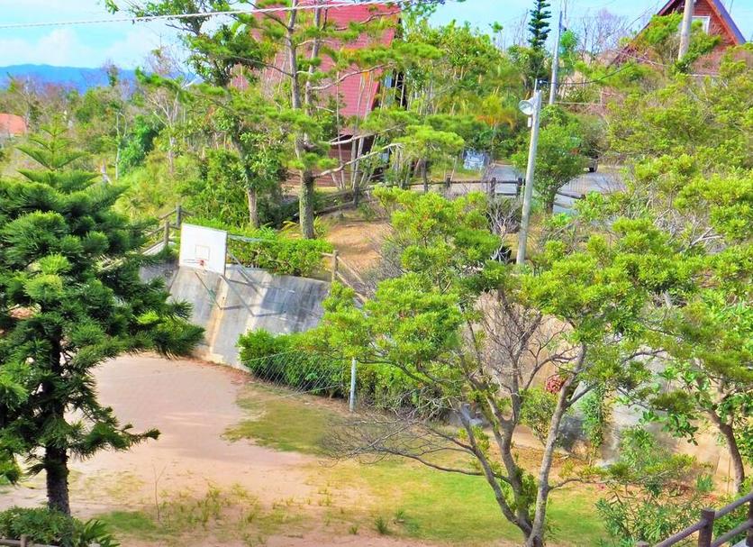 Outdoors view Photo