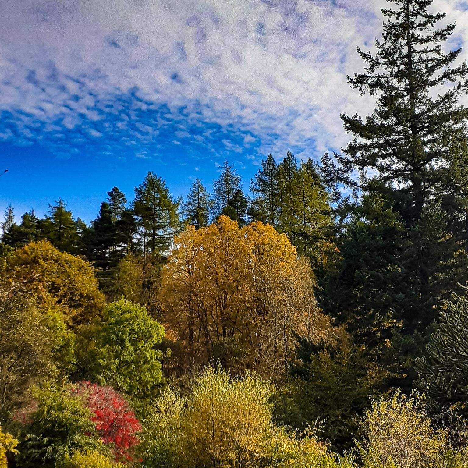 Outdoors view