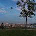 Outdoors view