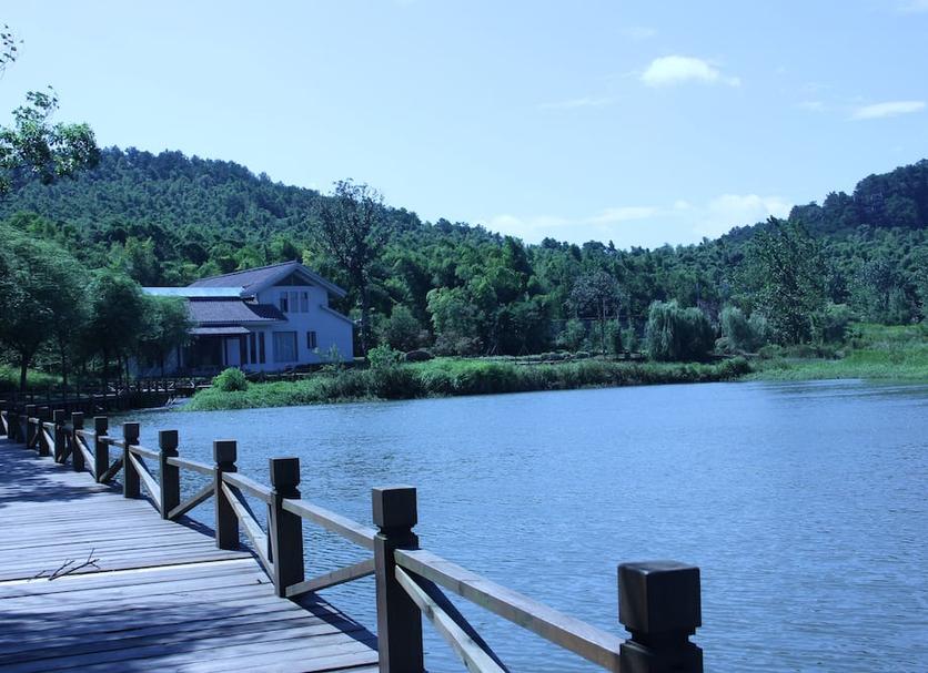 Outdoors view Photo