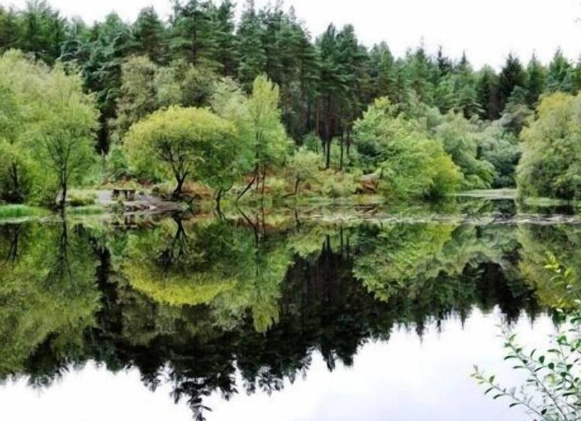 Outdoors view Photo