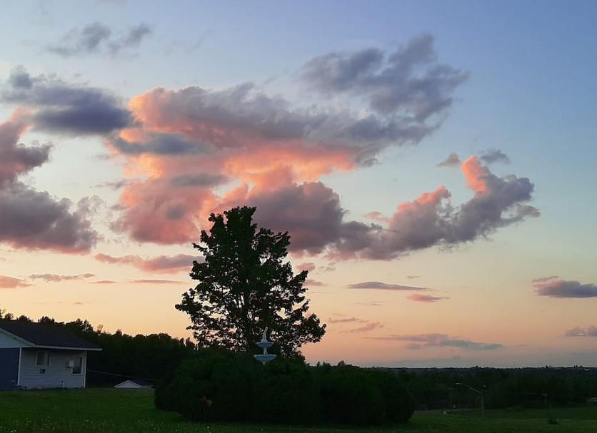 Outdoors view Photo