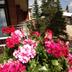 Outdoors view