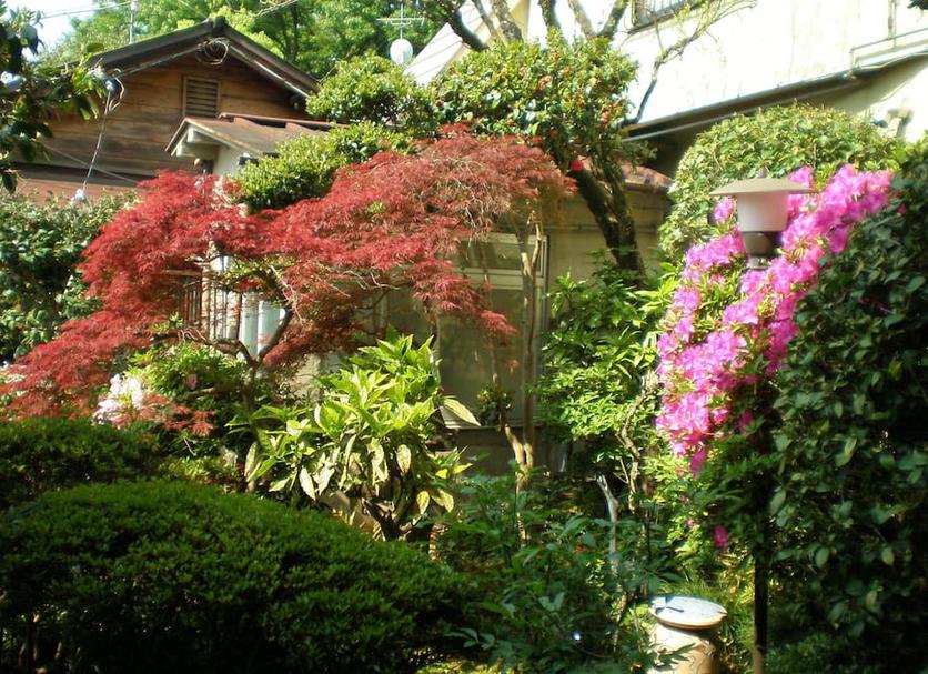 Outdoors view Photo