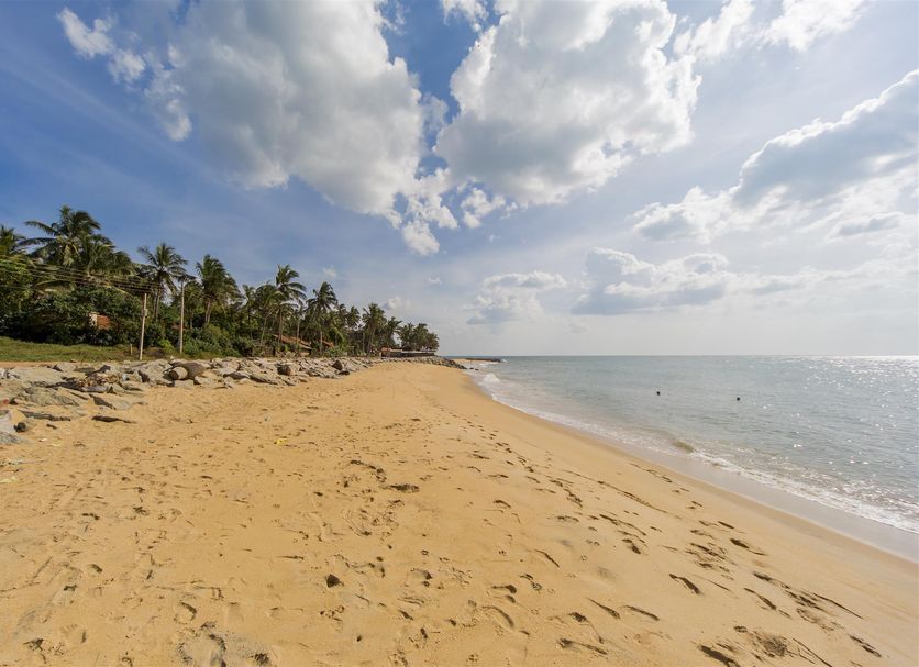 Beach Photo