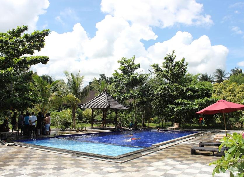 Other Photo
