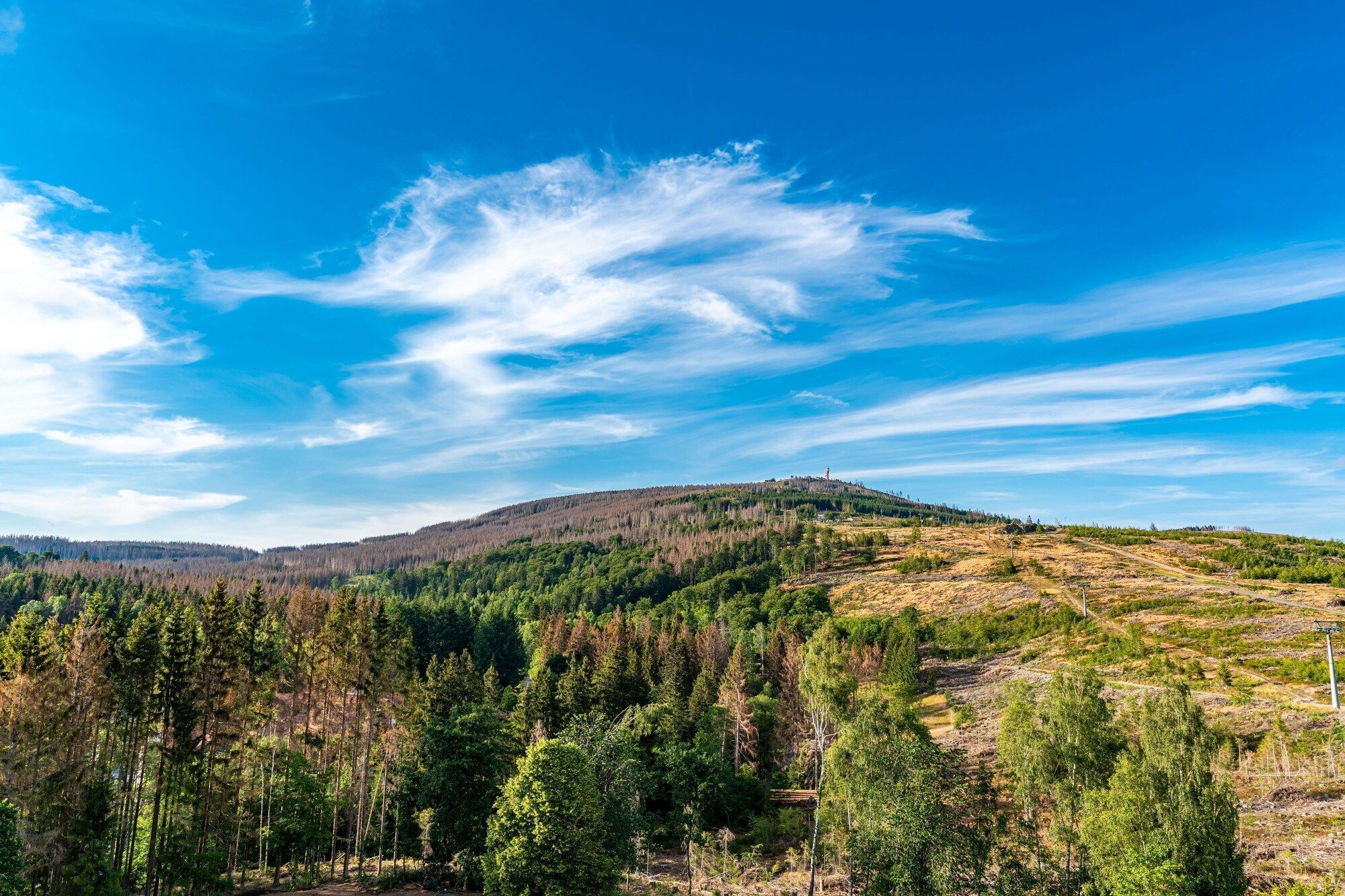 Outdoors view