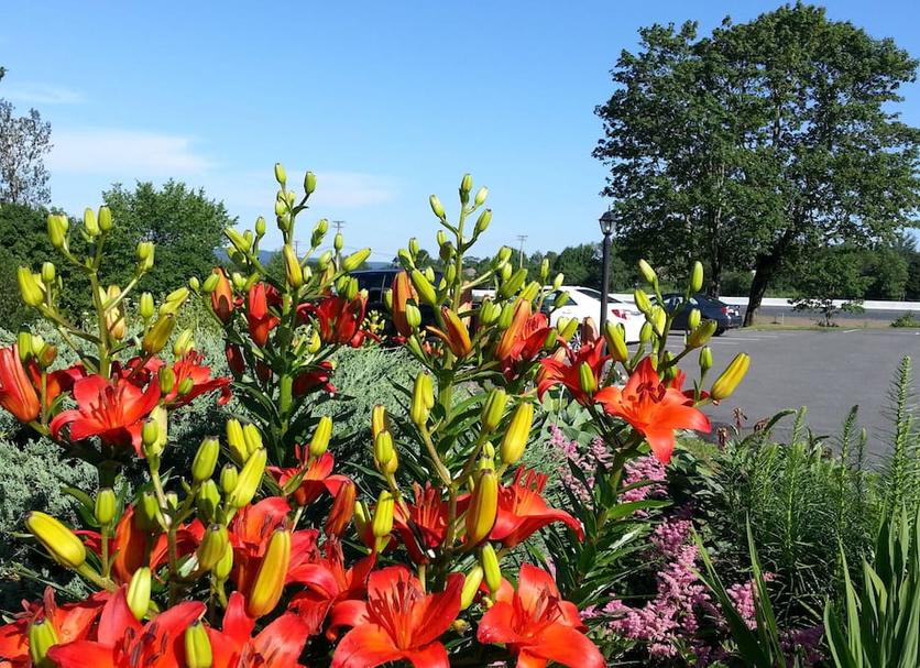 Outdoors view Photo