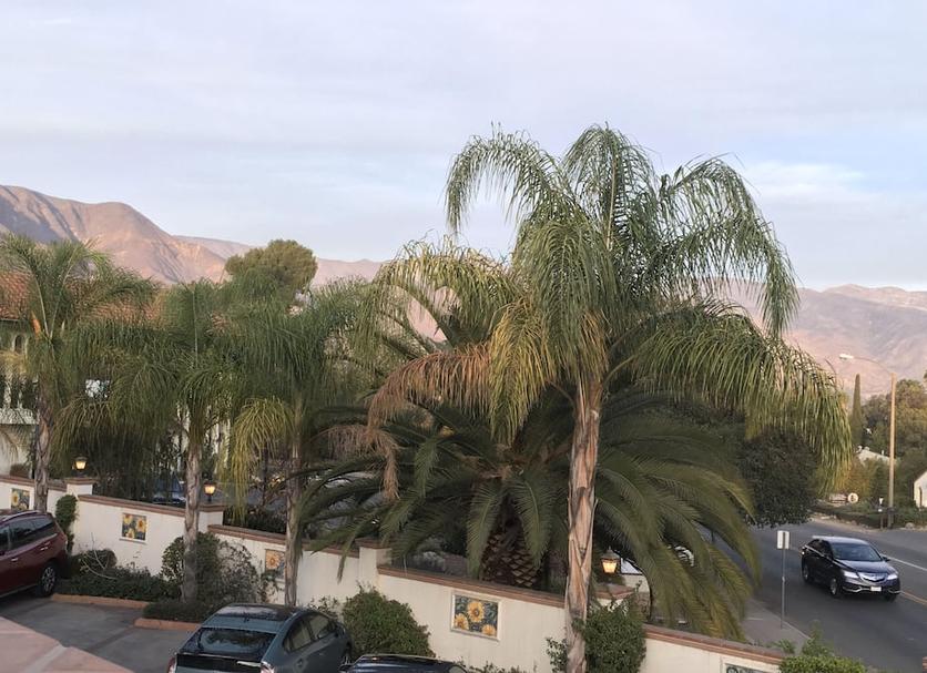 Outdoors view Photo