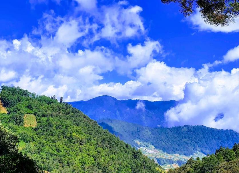 Outdoors view Photo