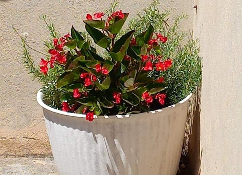 Other Photo