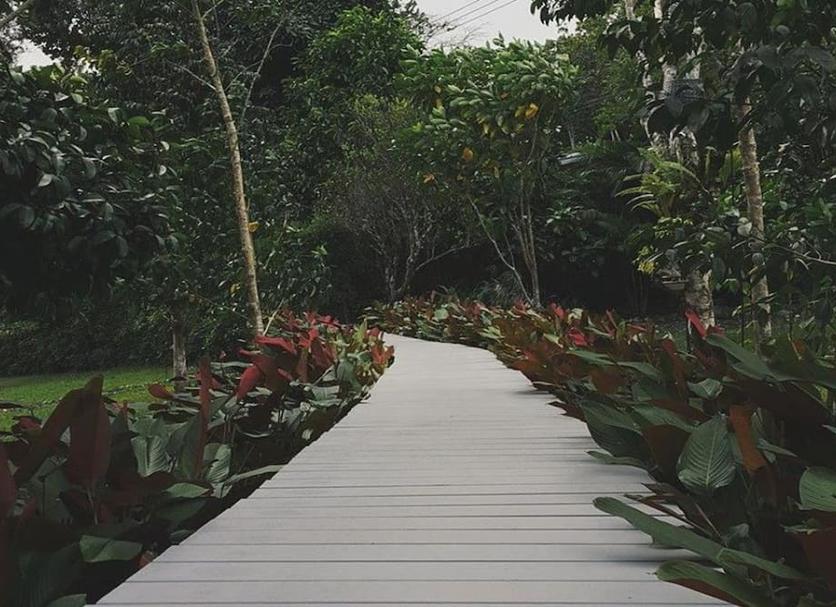 Outdoors view Photo