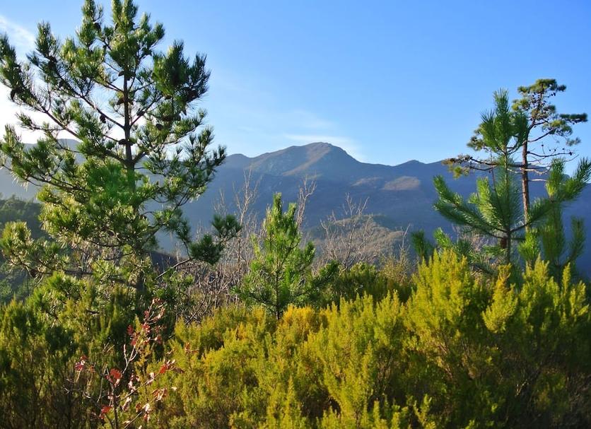 Outdoors view Photo