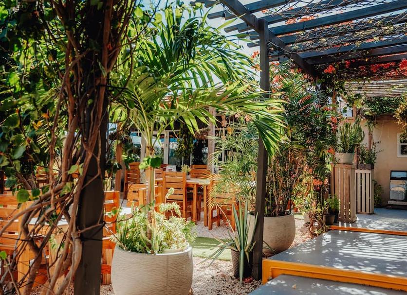 Patio Photo
