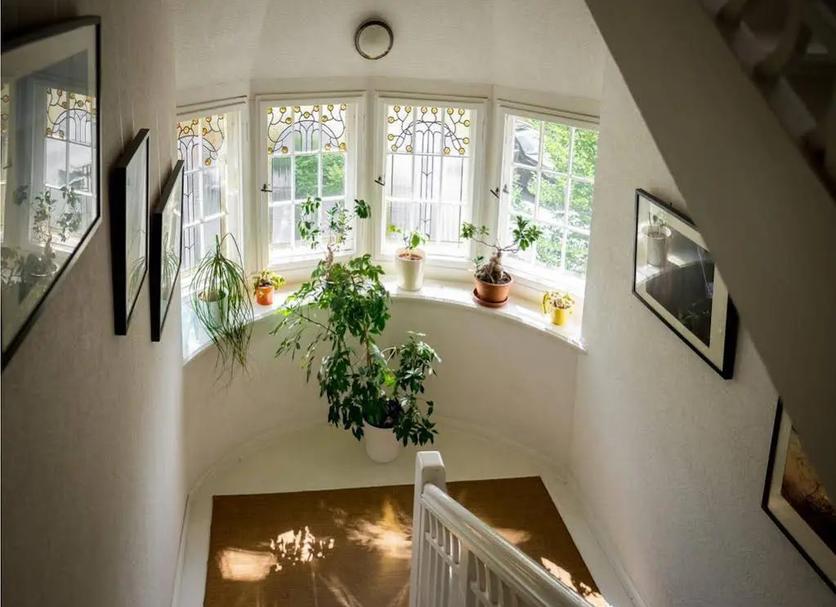 Stairs Photo