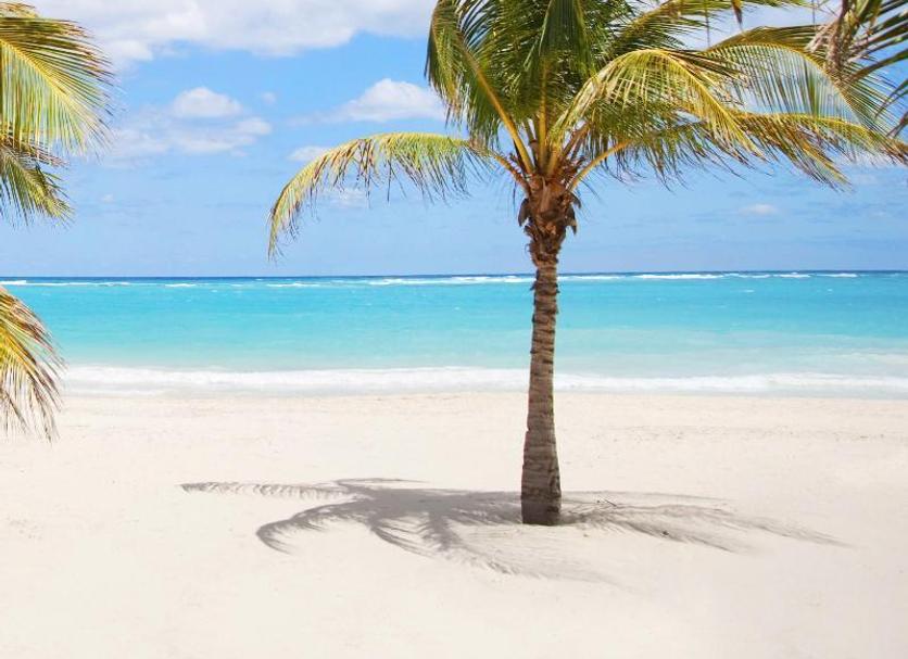 Beach Photo